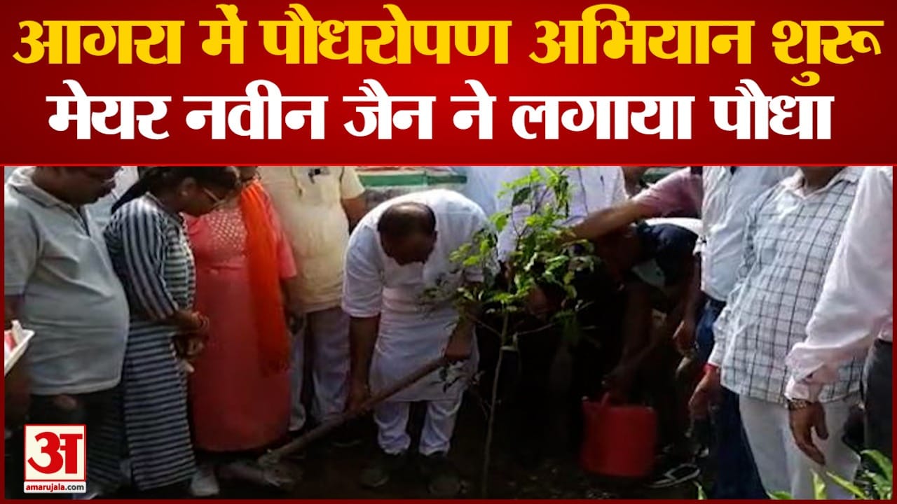 मेयर नवीन जैन ने लगाया पौधा