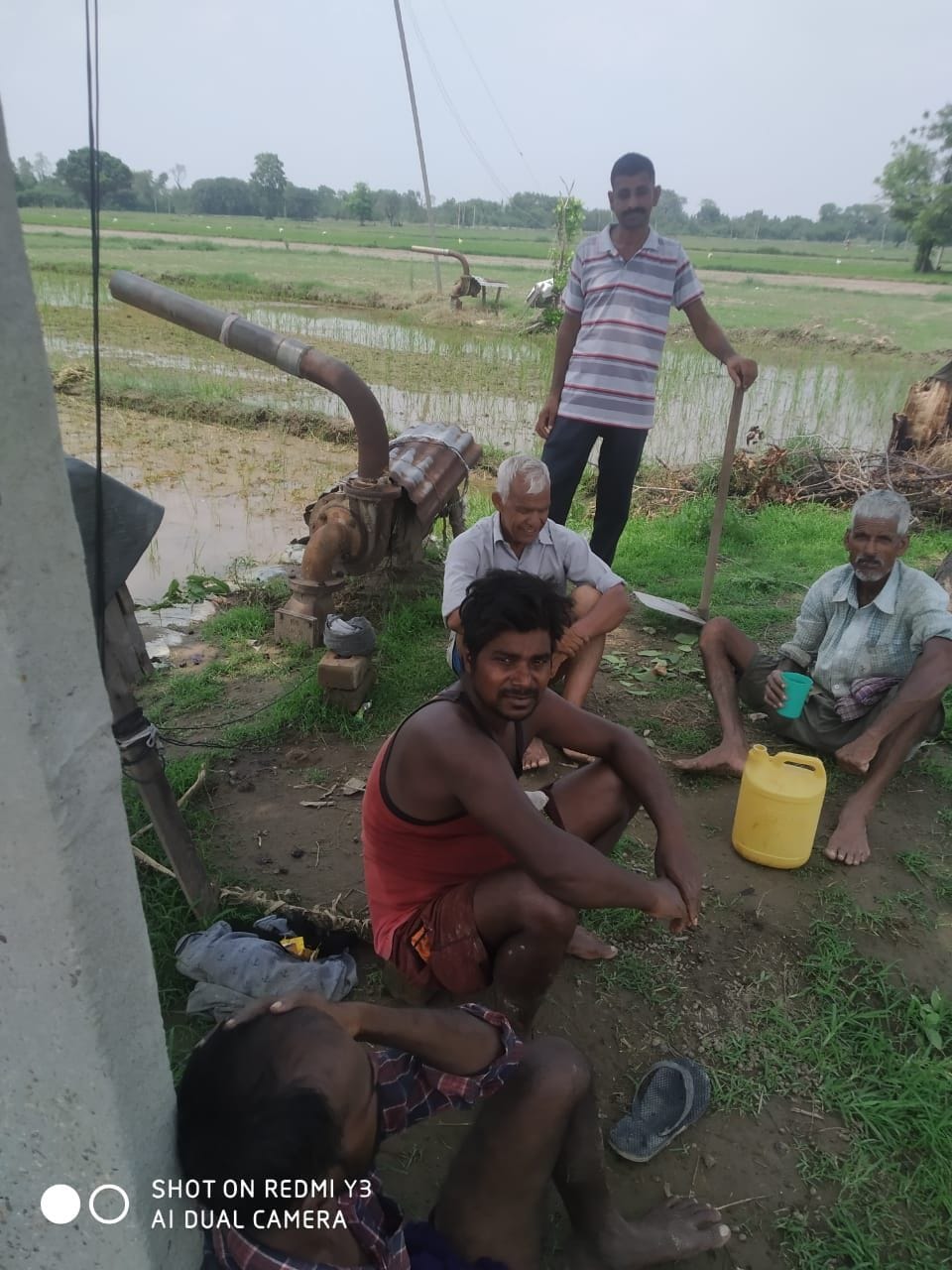 bijli
