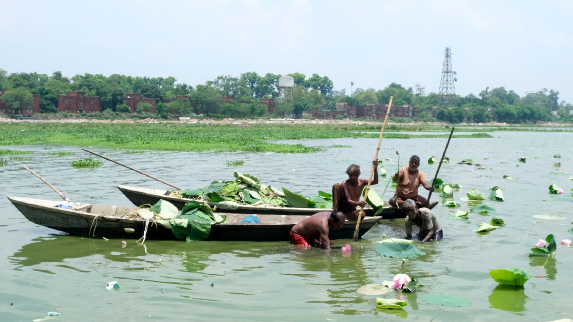 Enjoy taste with excursions on banks of Gorakhpur Ramgarhtal