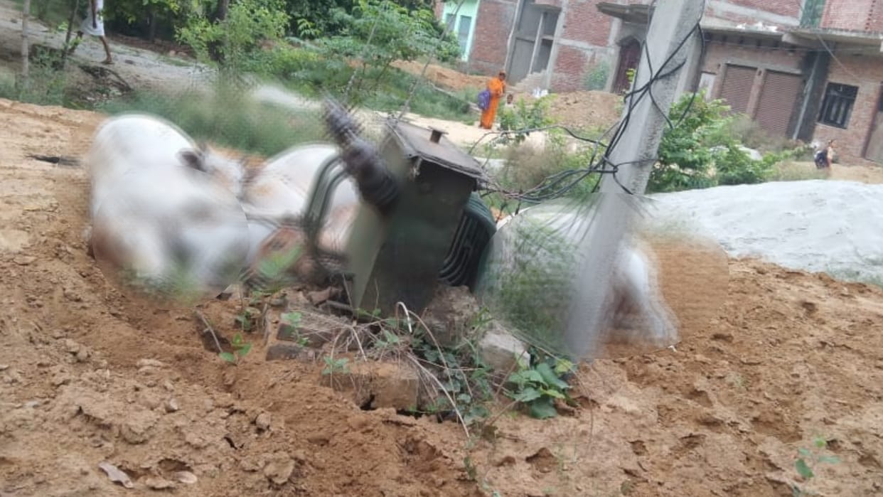 Five cows died because of electric shock in Ayodhya.