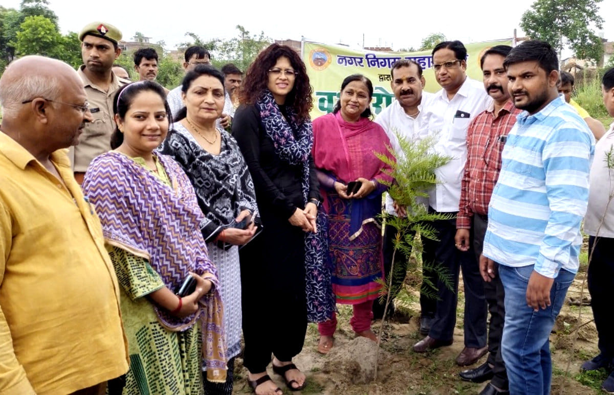 Municipal Corporation planted 3,700 saplings in Shakambhari Vihar
