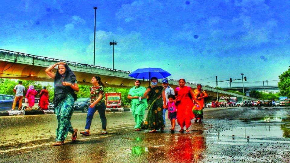 delhi weather forecast mansoon rain may fall on wednesday people get releif from heat