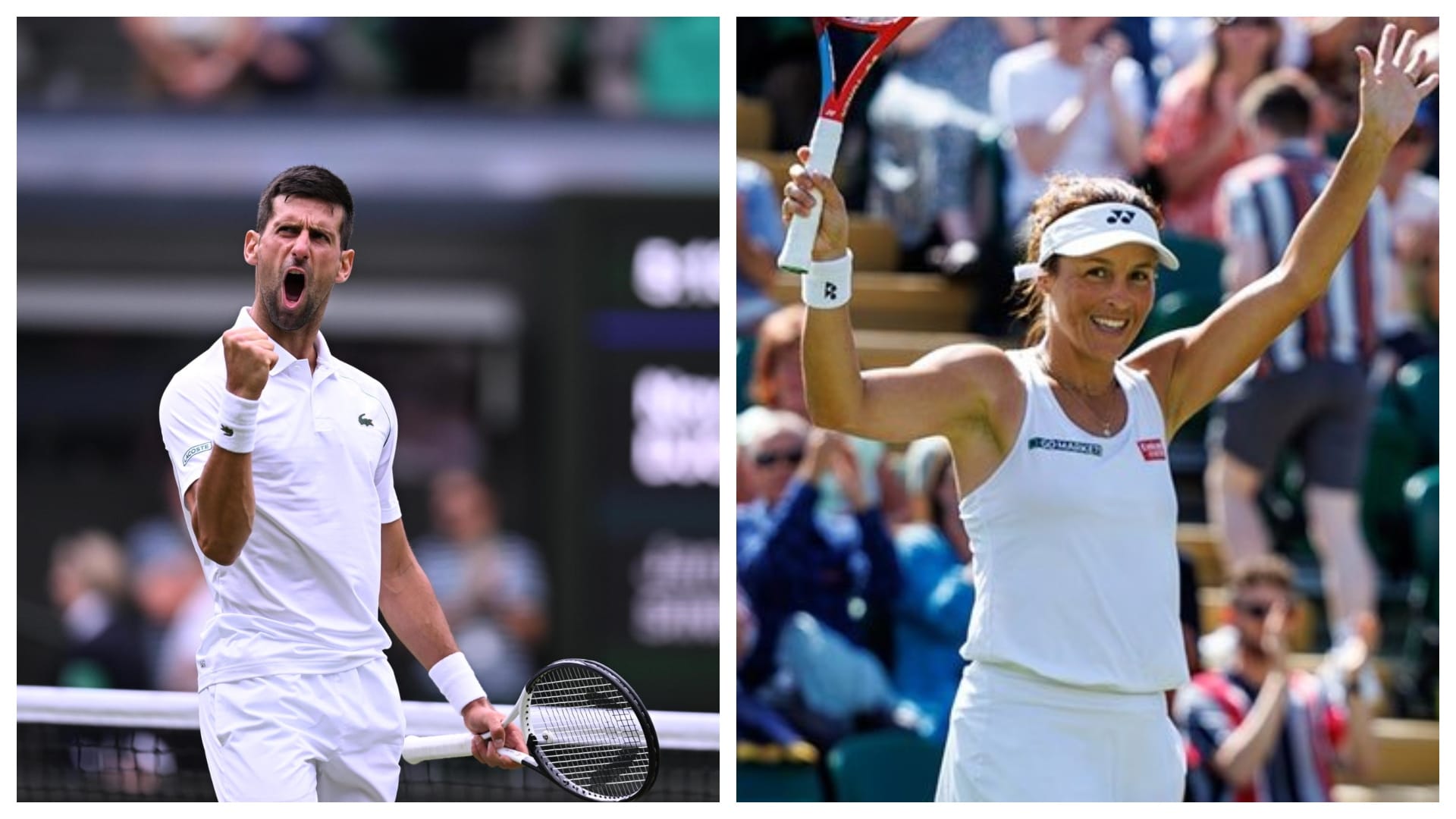 Wimbledon 2022 Novak Djokovic beats Jannik Sinner to Reach 11th Wimbledon Semi final Tatjana Maria won against Jule Niemeier