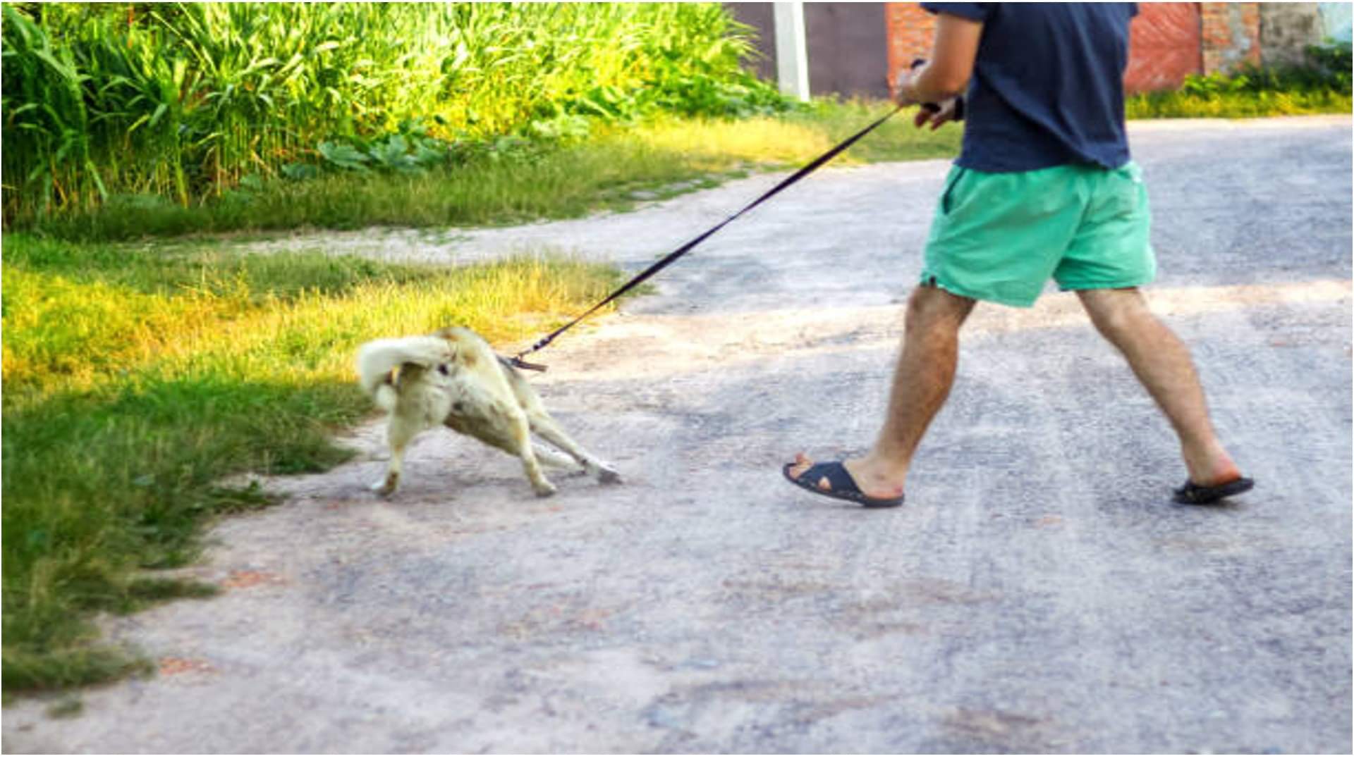 Astrology And Bad Habits These bad habit is due to shani dosh might be effected from sadhe sati aur dhaiya