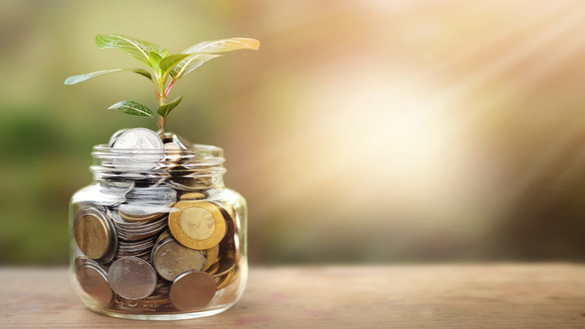 ITR Filing Last Date: These Type Of Income Is Tax Free Know These Things Before Filing ITR