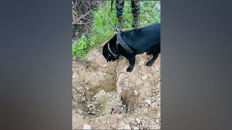 Baramulla IED Found: IED recovered on Srinagar Baramulla highway traffic stopped bomb disposal team destroyed