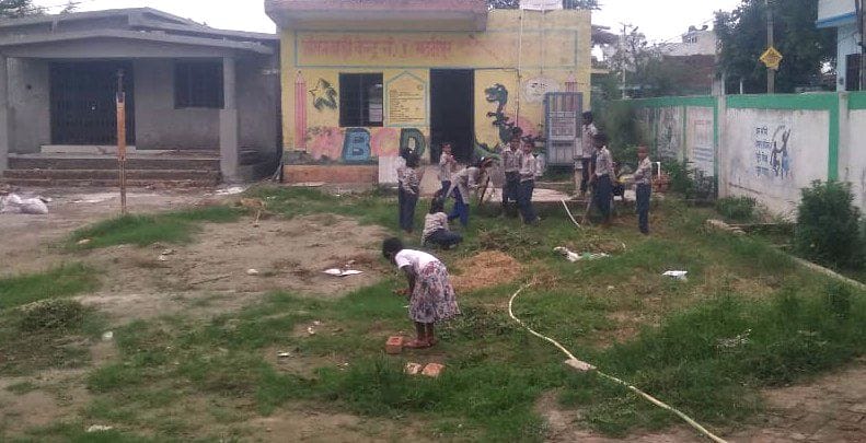 No studies in schools on the first day, bushes were cut