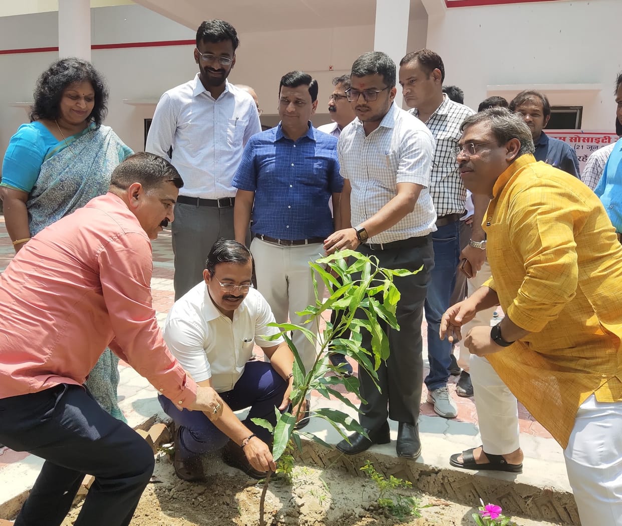 Plantation campaign started in the district, target of planting 53 lakh saplings by August 15