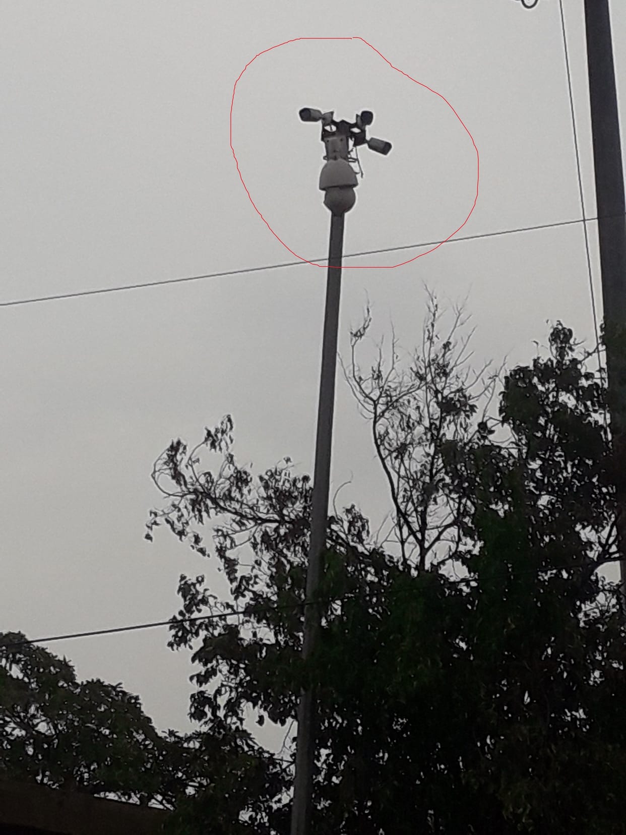 CCTV cameras made for pigeons' resting place