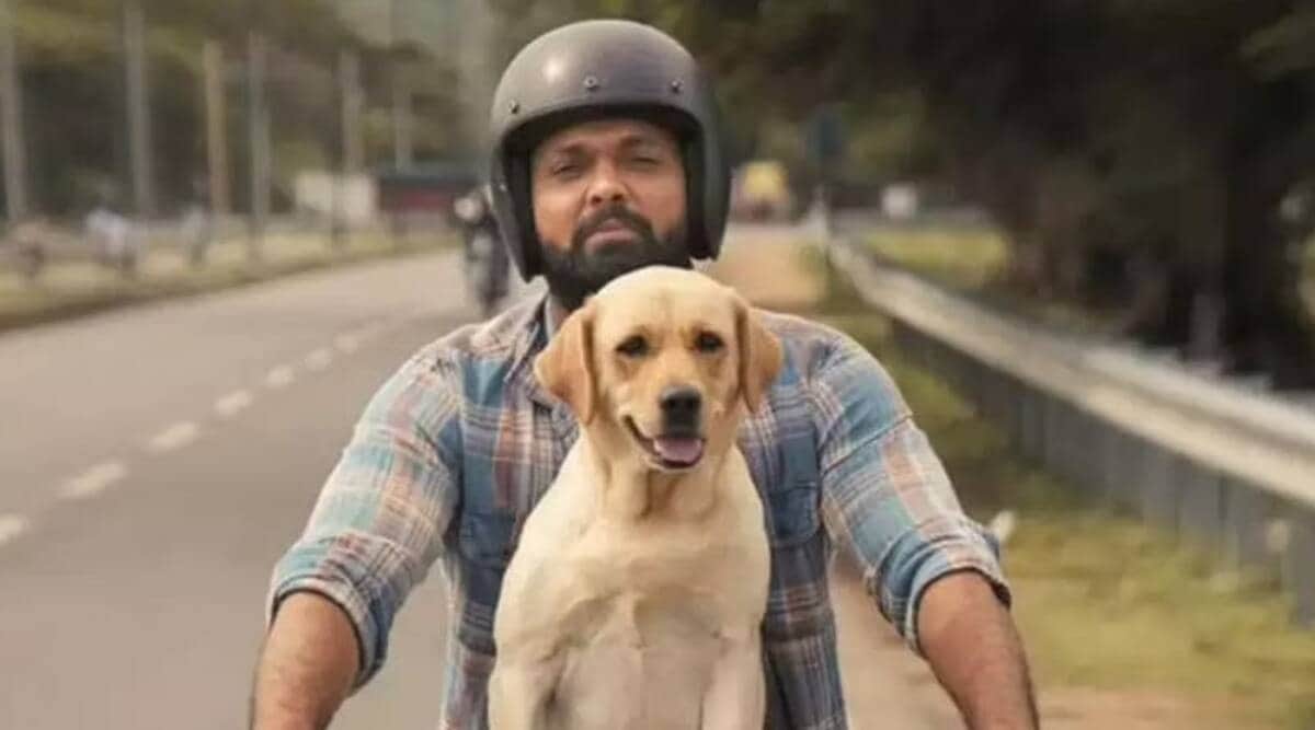 777 Charlie Actor Rakshit Shetty made a big announcement, will donate 5 percent profit to NGO on completion of 25 days of theatrical run