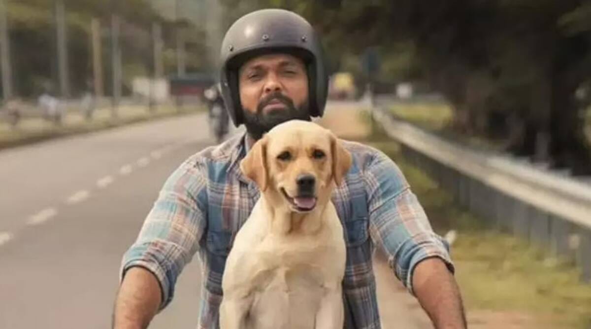 777 Charlie Actor Rakshit Shetty made a big announcement, will donate 5 percent profit to NGO on completion of 25 days of theatrical run