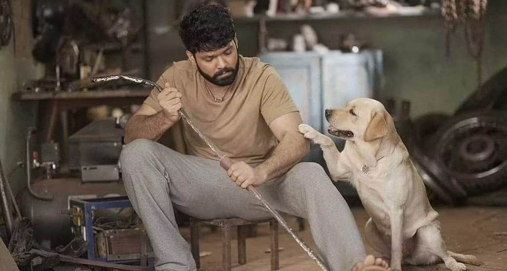 777 Charlie Actor Rakshit Shetty made a big announcement, will donate 5 percent profit to NGO on completion of 25 days of theatrical run