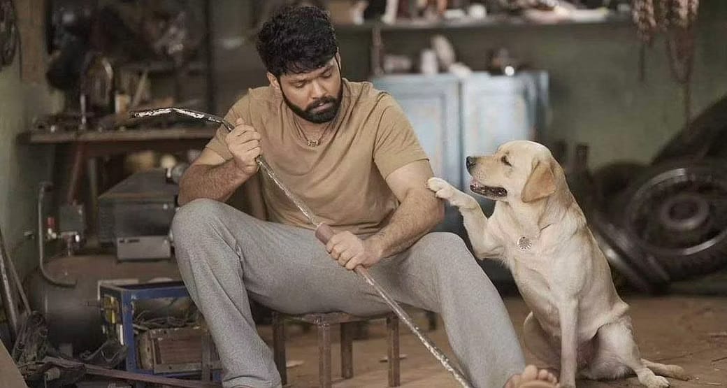 777 Charlie Actor Rakshit Shetty made a big announcement, will donate 5 percent profit to NGO on completion of 25 days of theatrical run