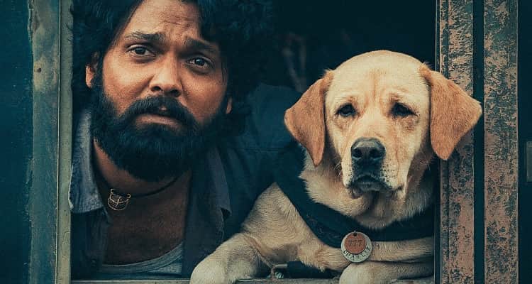 777 Charlie Actor Rakshit Shetty made a big announcement, will donate 5 percent profit to NGO on completion of 25 days of theatrical run