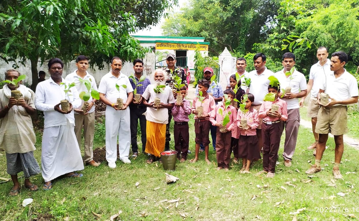 plantetion