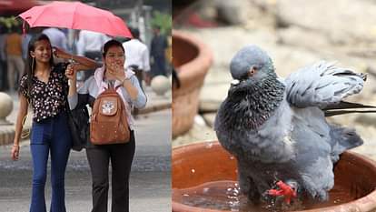 delhi weather forecast light rain likely in on saturday afternoon
