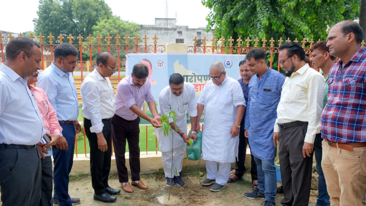 More than 37.52 lakh saplings planted in a day