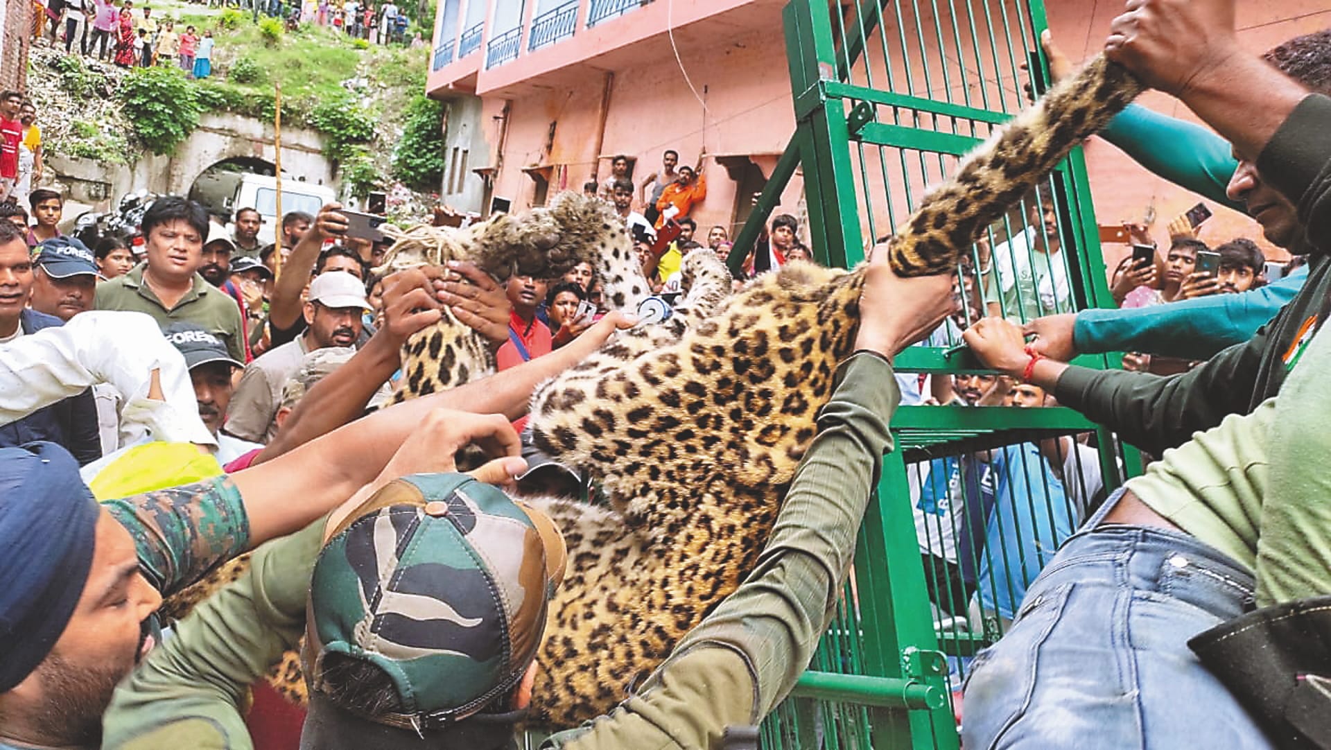 Guldar entered the settlement in Haridwar and Srinagar, See Photos