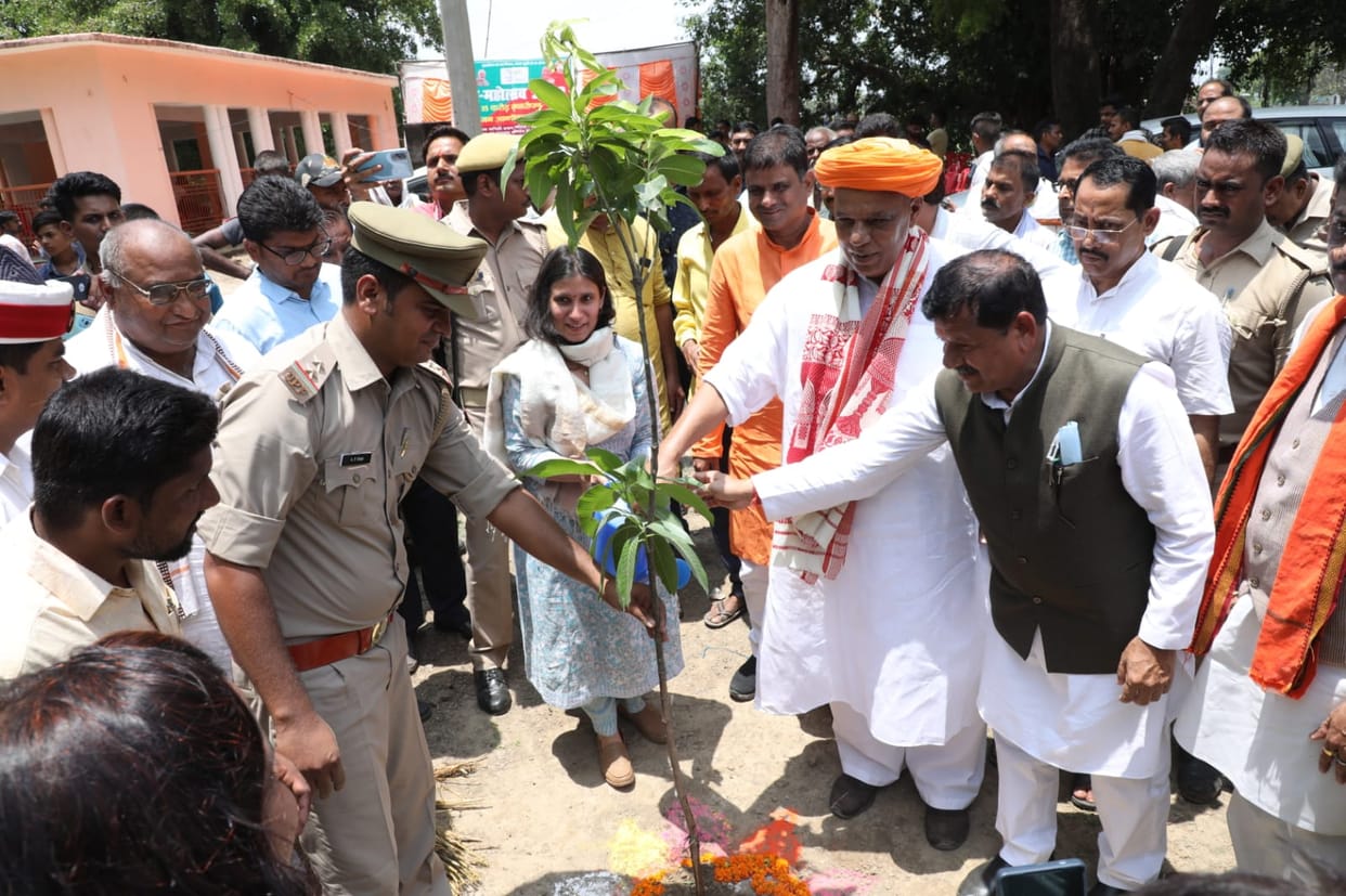 Greenery campaign, everyone planted saplings