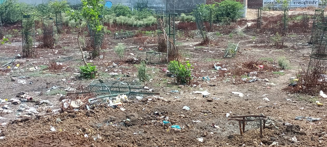 Old plants are not taken care of, new ones have been planted