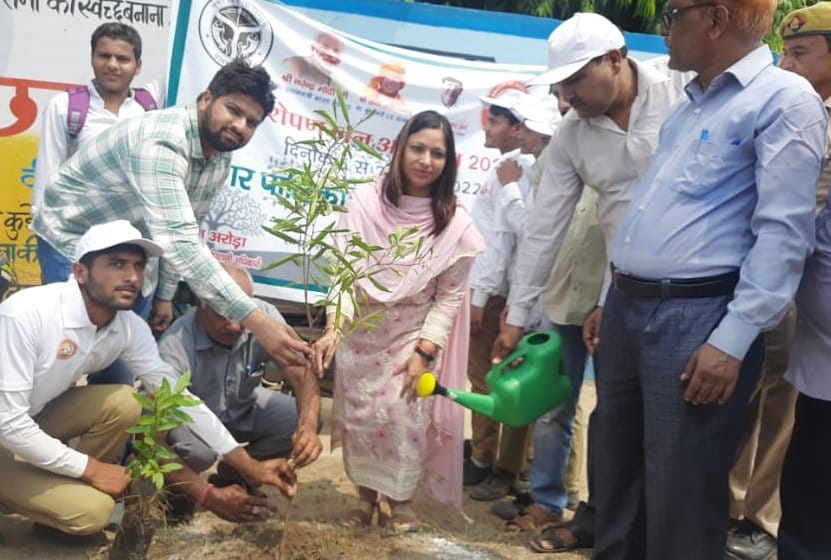 Millions of saplings planted under Van Mahotsav
