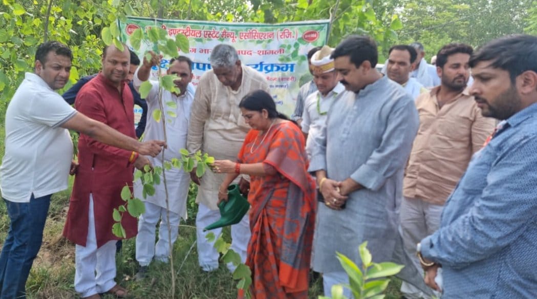 Entrepreneurs planted 5100 saplings in Issopur Teel