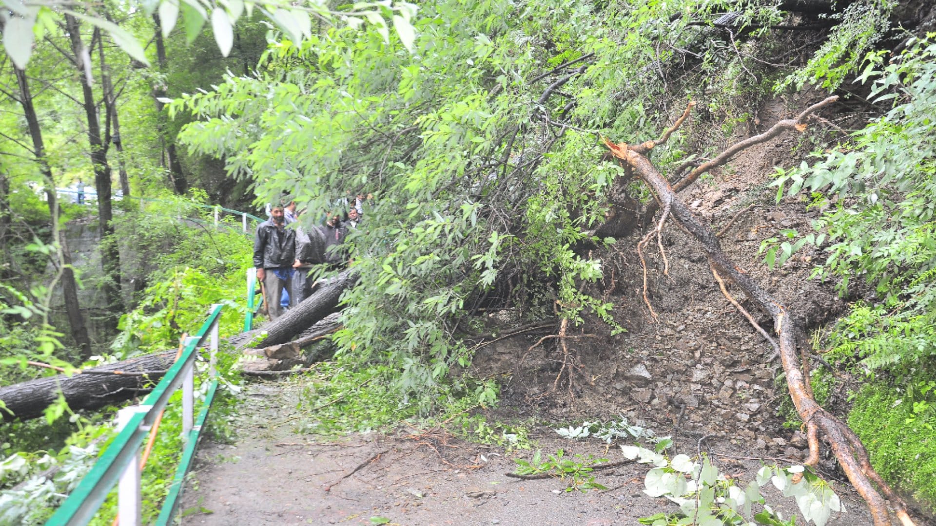 Roads closed due to heavy rainfall in Shimla, eight vehicles buried in debris, see photos