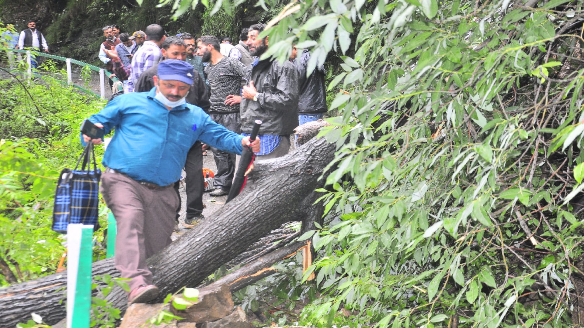 Roads closed due to heavy rainfall in Shimla, eight vehicles buried in debris, see photos