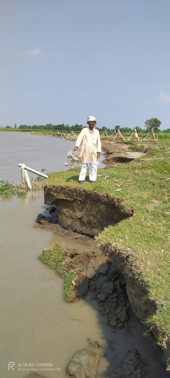 Water reduced in Gandak, harvesting started near Mahdeva village