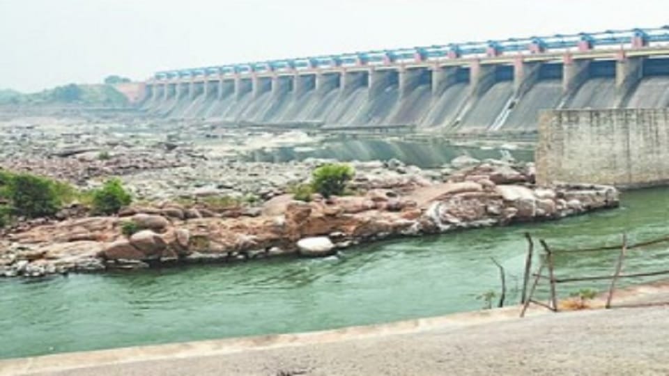 Now only water left to quench thirst in Matatila Dam