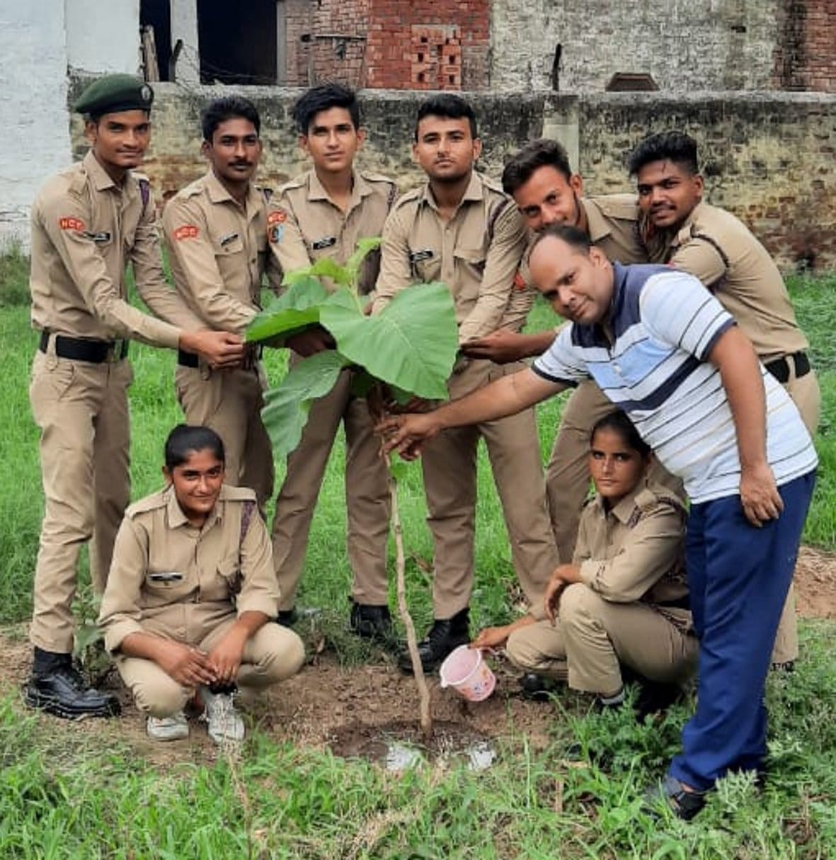 One and a half lakh saplings planted in plantation campaign