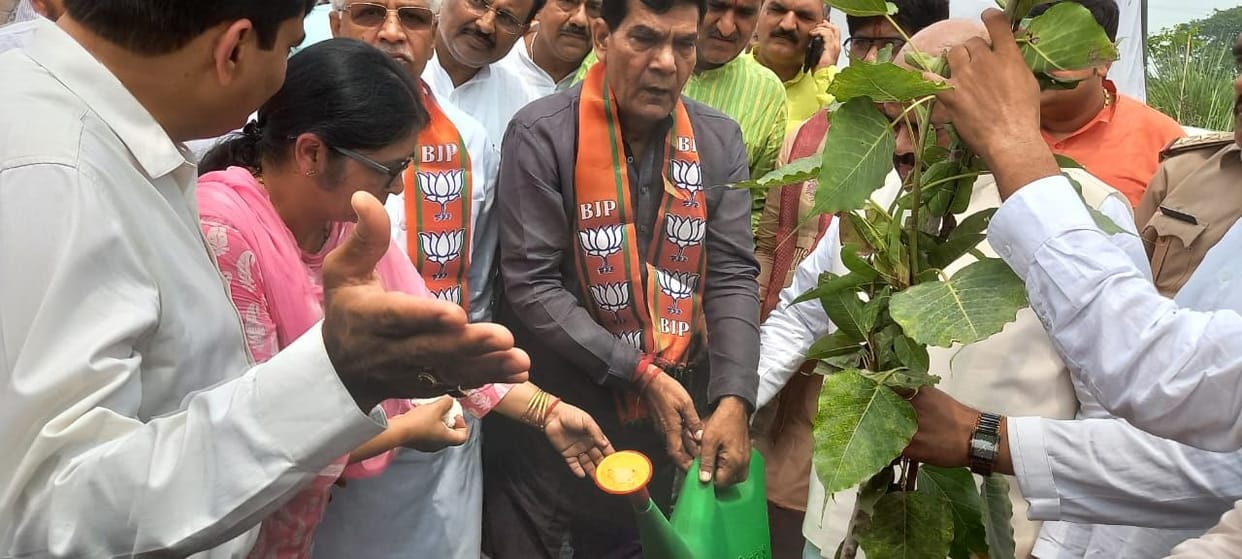 Trees are the precious heritage of nature, everyone's responsibility to protect them - AK Sharma