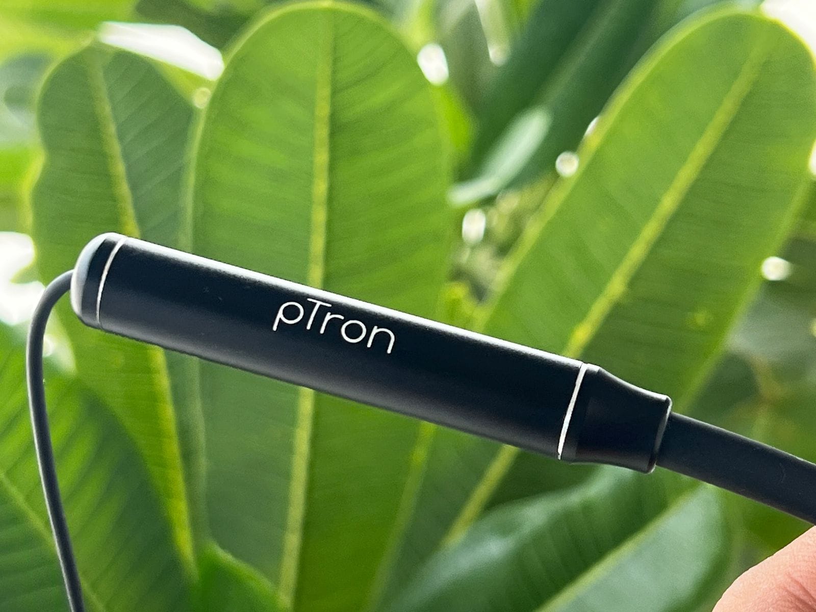 pTron Tangent Urban Review