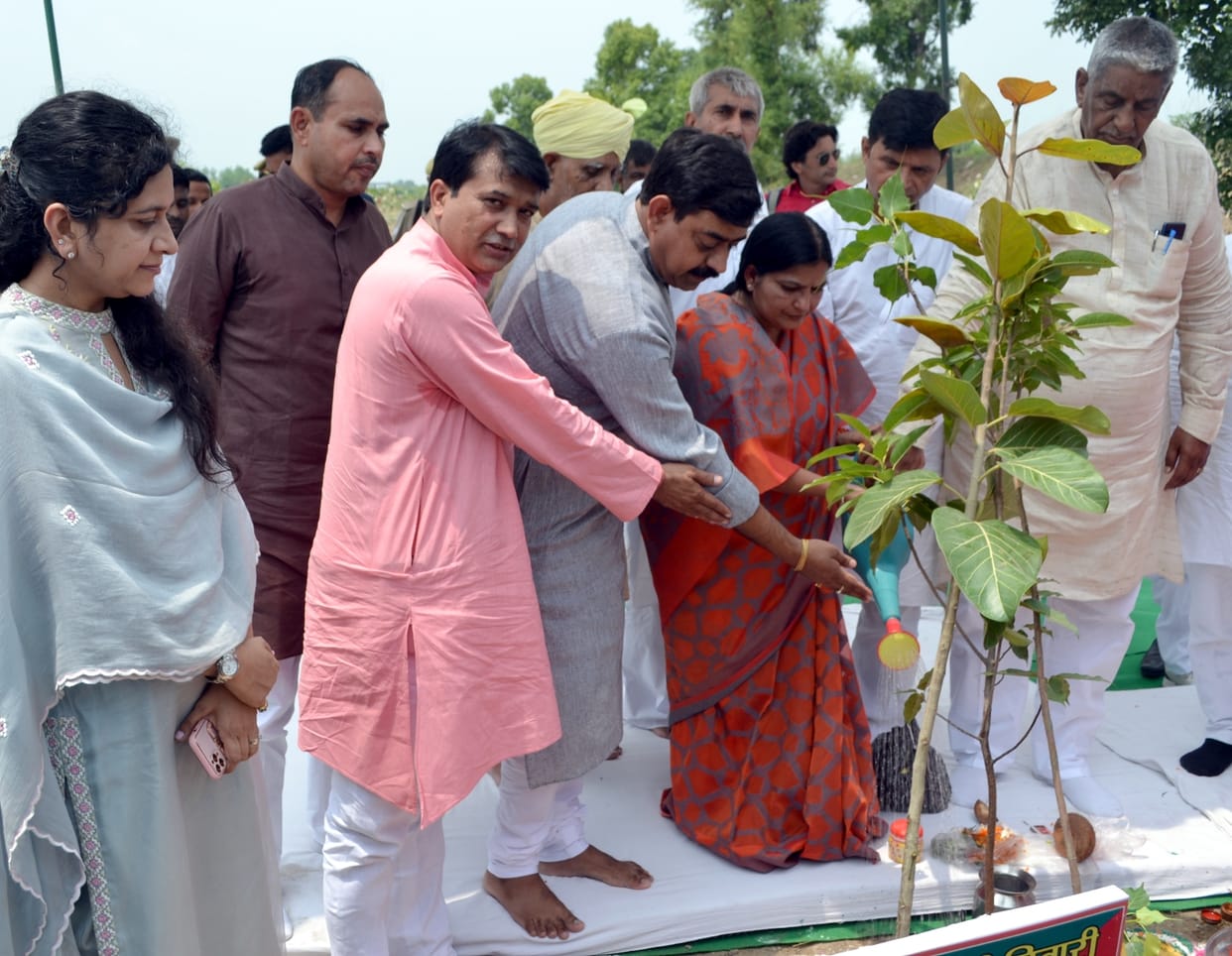 'The basis of life, trees and plants are the decoration of mother earth'