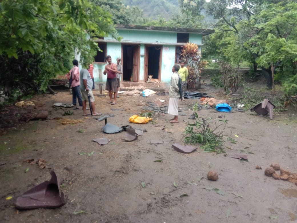 Elephants created orgy in Dhapla village
