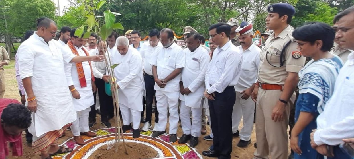 Forest is necessary for environmental balance: Minister