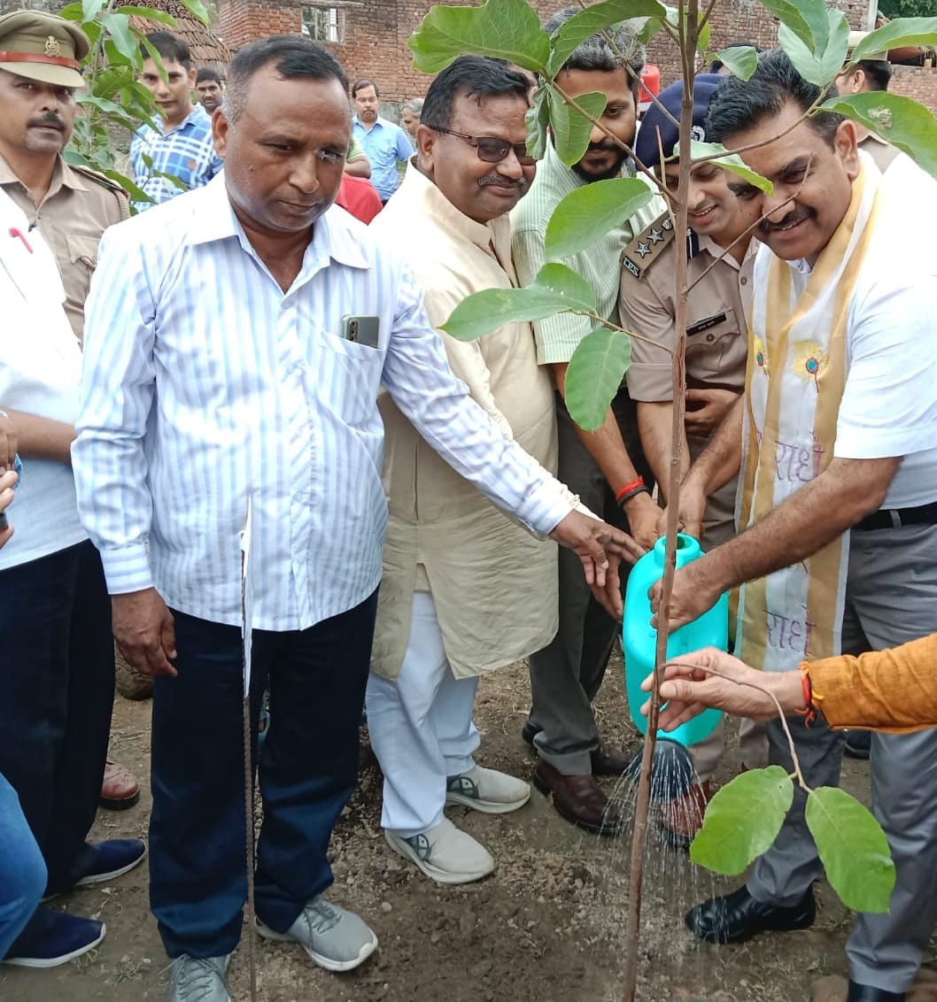 More than 27 lakh saplings planted on the first day
