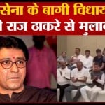 राज ठाकरे