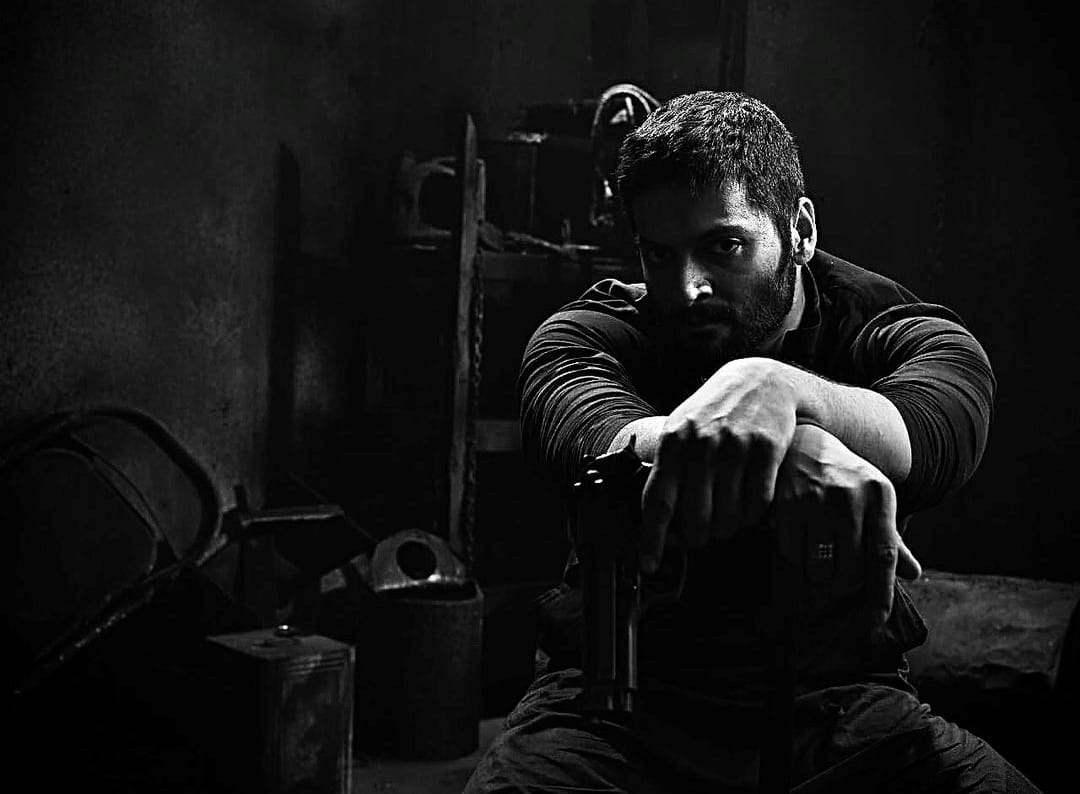 Mirzapur 3: Ali Fazal Aka Guddu Bhaiya is learning wrestling perform stunts at his own in the third season of Mirzapur