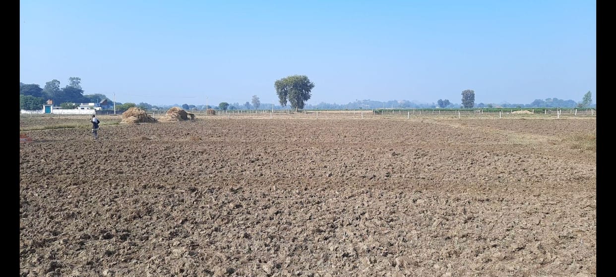 Banda: The month of Ashadh is dry, 33.4 mm less rain