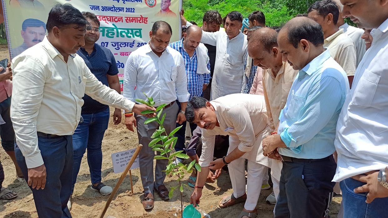 Minister of State planted saplings in Badarkha village