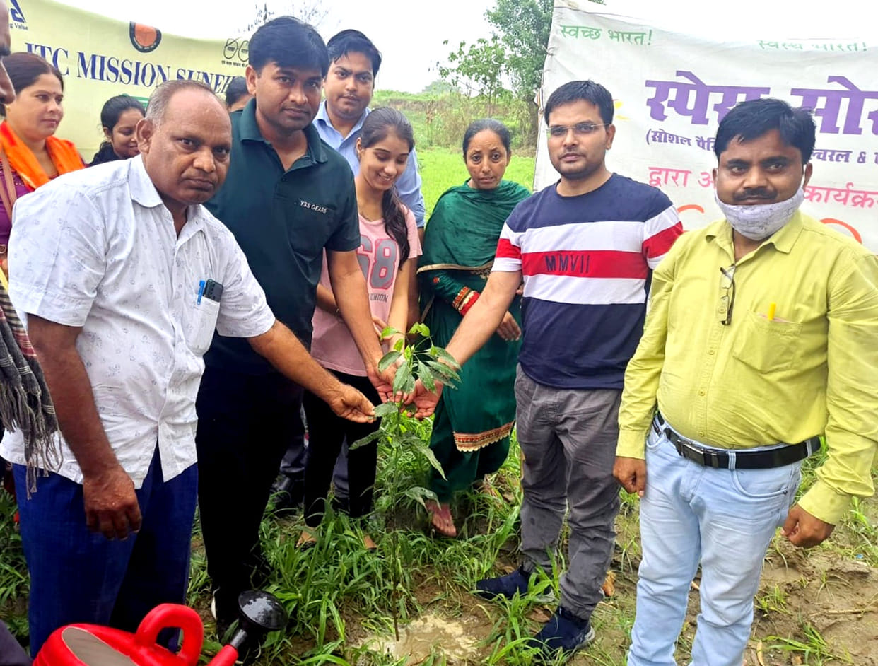 Corporation planted Amla-Mango plants for 'Food Forest'