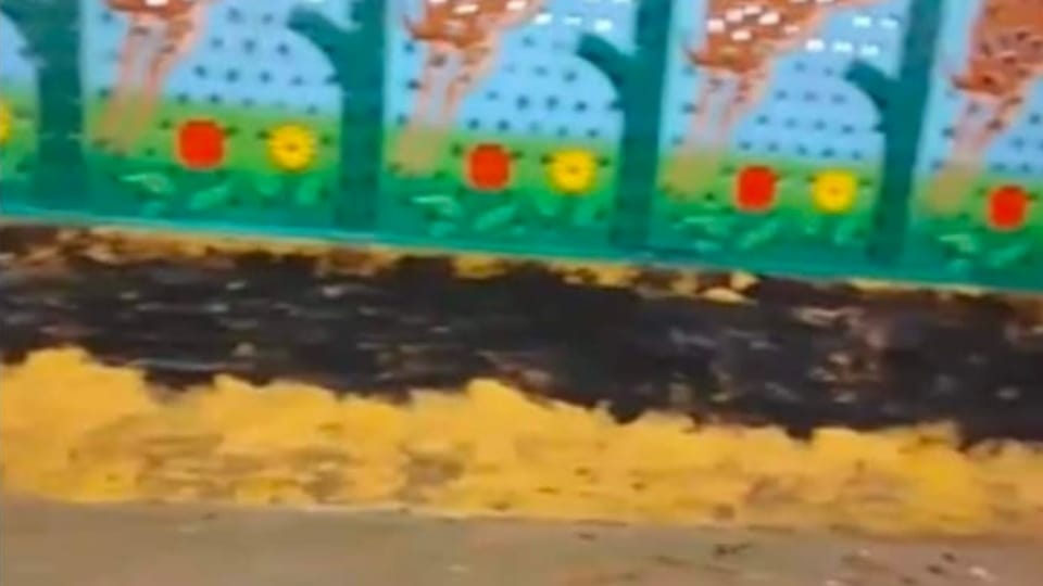 Separtist slogans Written on wall of branch of Dera Sacha Sauda Sirsa located in village Salabatpura of Bathinda