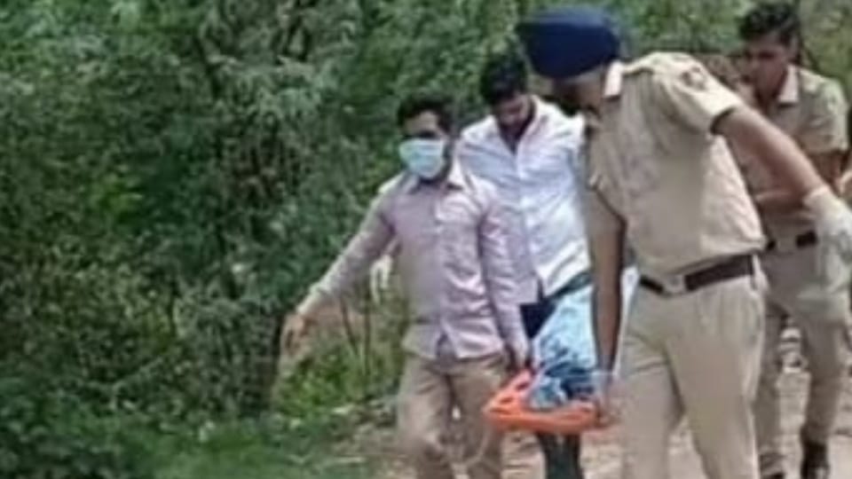 Body of young woman found in Rao river of Patiala near Dhanas village in Chandigarh