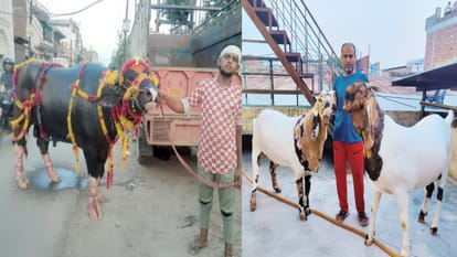 Eid-ul-azha 2022