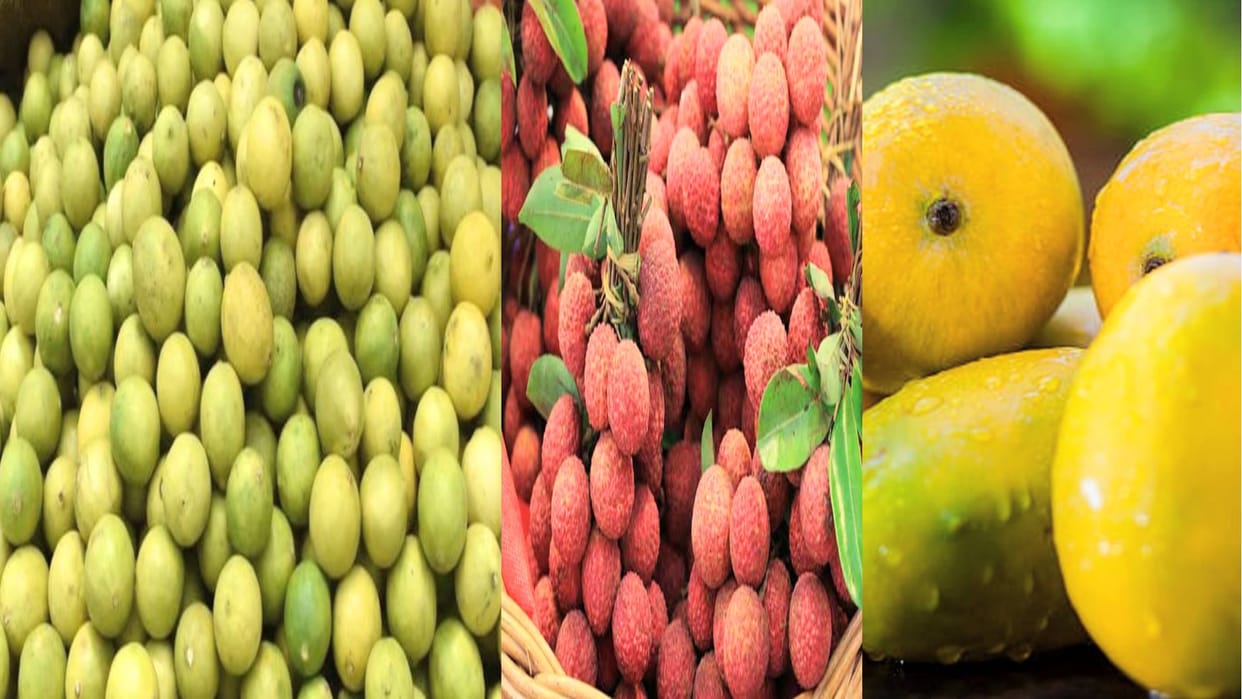 Horticulture Department Himachal: Lemon, mango and litchi plants will get costlier by five to 10 rupees, Directorate has released the rate list