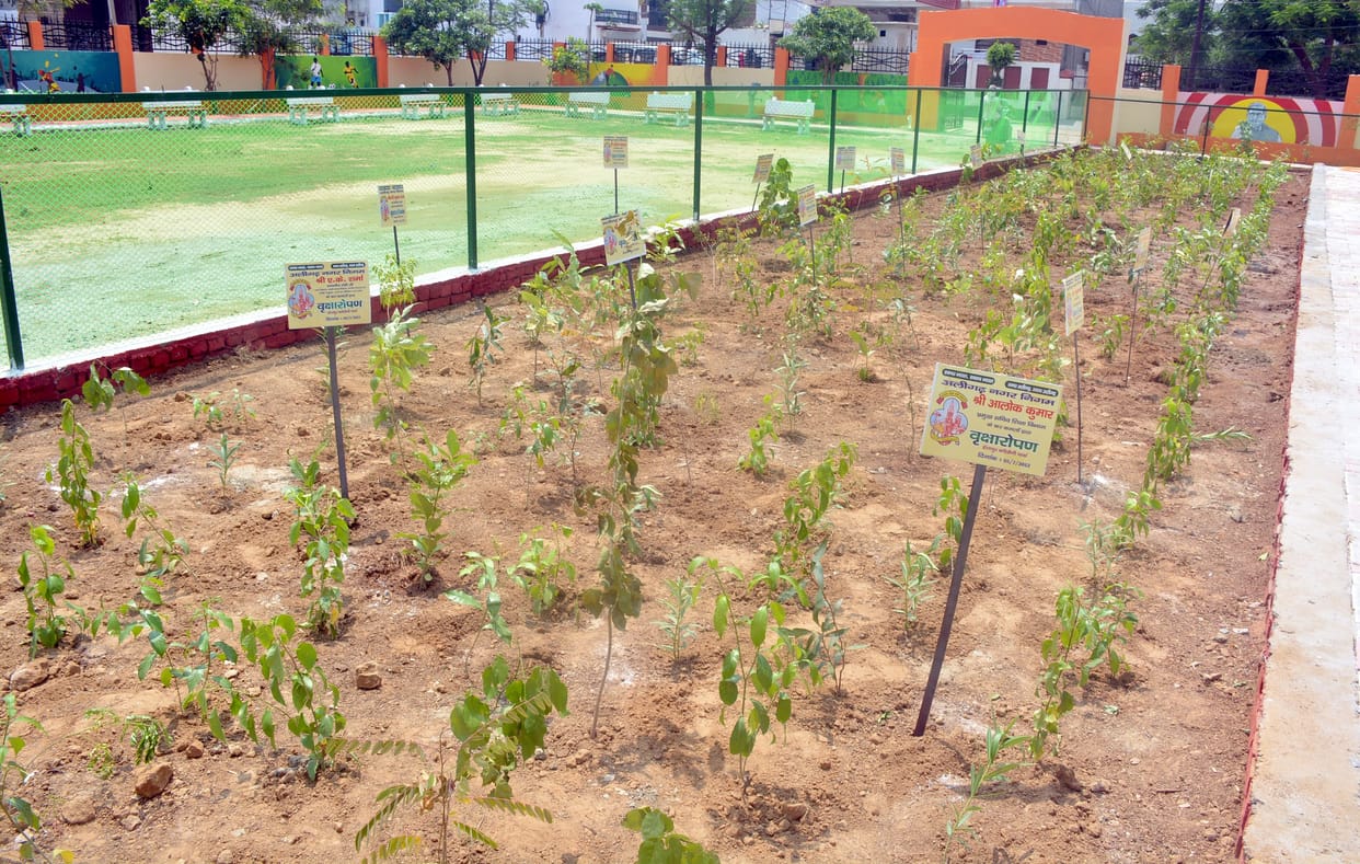 Van Mahotsav: Claims to plant 39.62 lakh saplings in three days