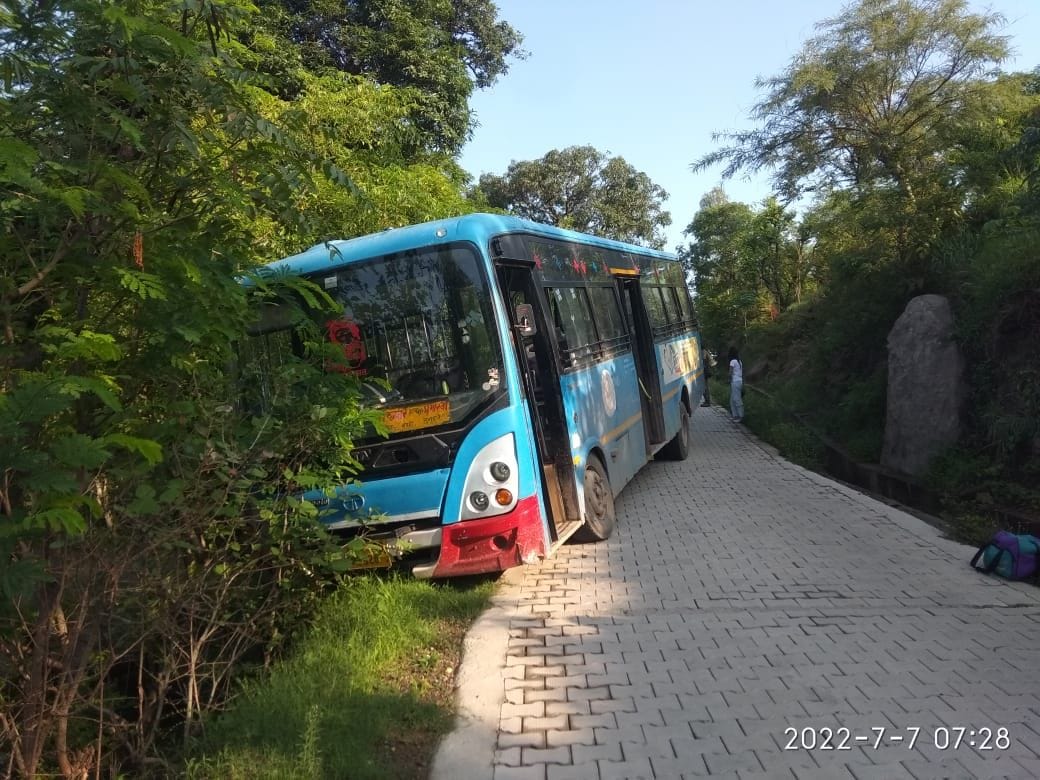bus stuck in tree