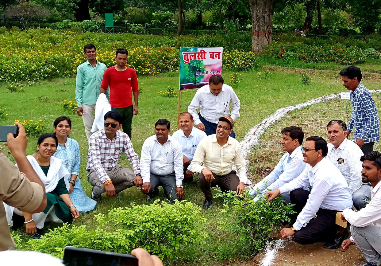 Divisional Commissioner planted Tulsi plants in Butterfly Park