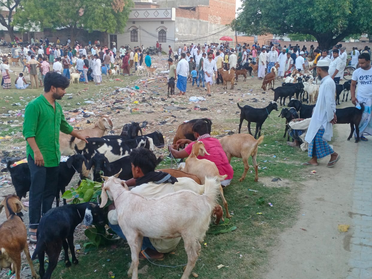 There is commotion living in goat markets, preparations intensified